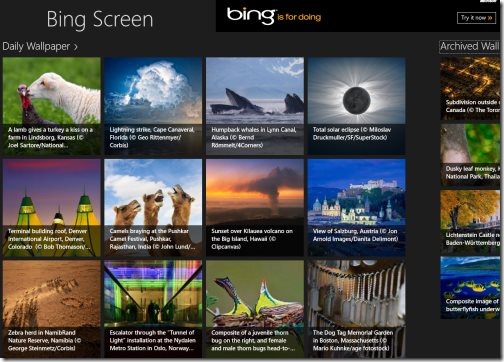Bing Screen