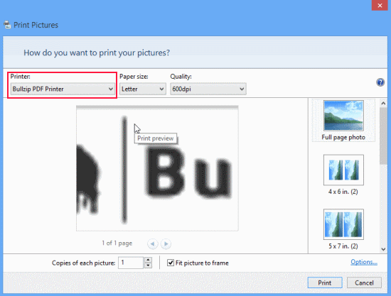 Bullzip-free-PDF-Printer