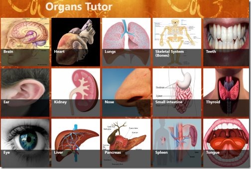 Organs Tutor app for Windows 8