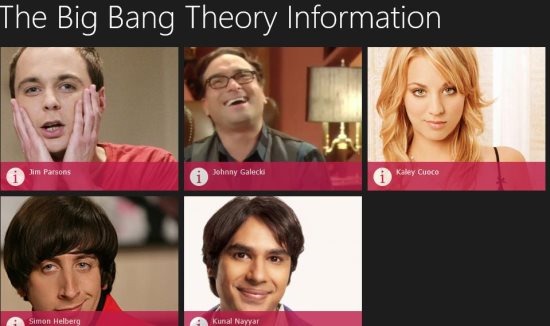 big bang theory cast