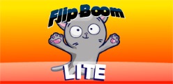 Flip Boom Lite- Featured