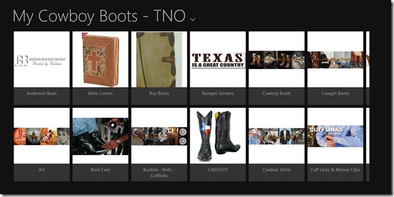 My Cowboy Boots - TNO