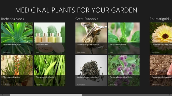 Medicinal Plants For Your Garden - Main screen