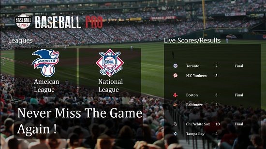 Baseball Pro main screen