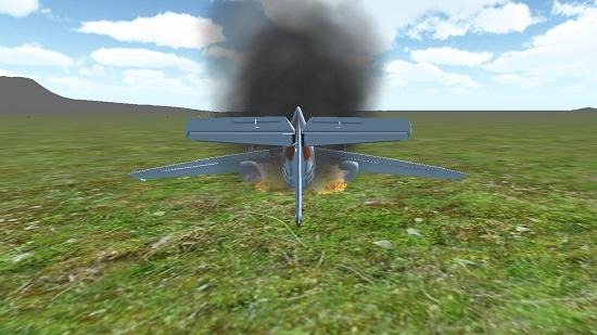 3D Flight Simulator crash
