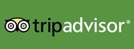 TripAdvisor Hotels Flights Restaurants
